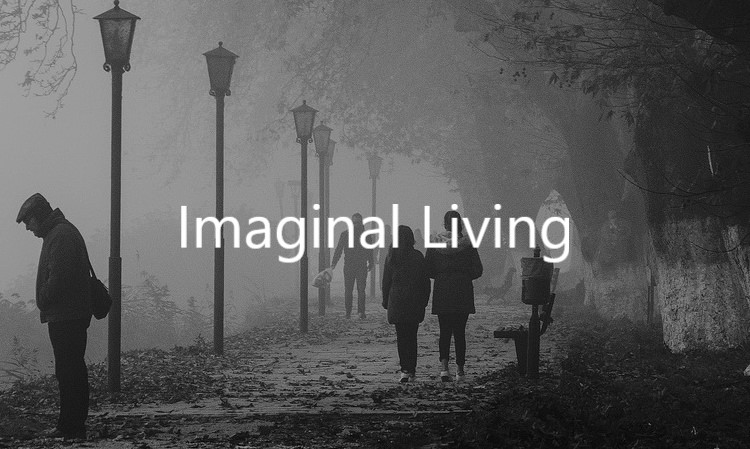 landscape-Imaginal Living (revised2)