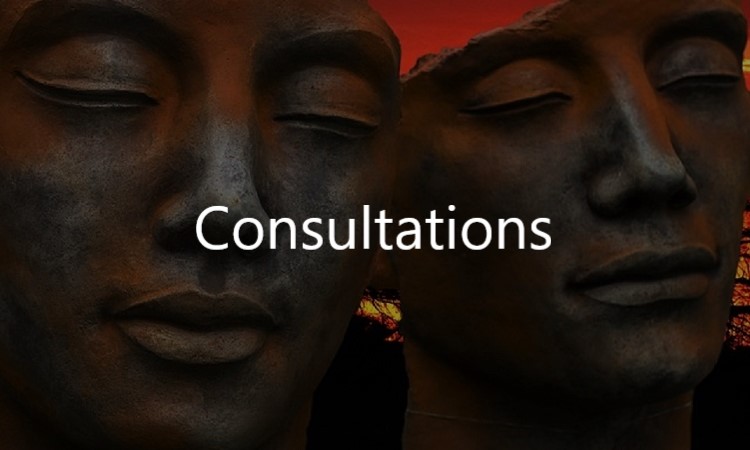 man-consultations (revised) Consultations